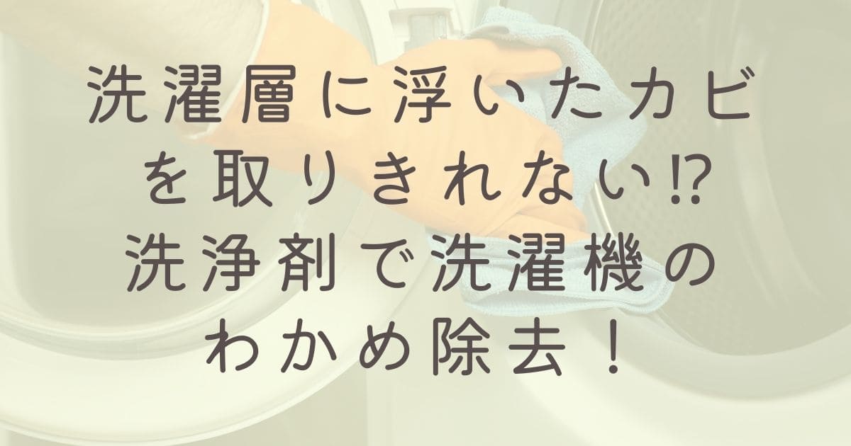 洗濯層に浮いたカビを取りきれない⁉洗浄剤で洗濯機のわかめ除去！